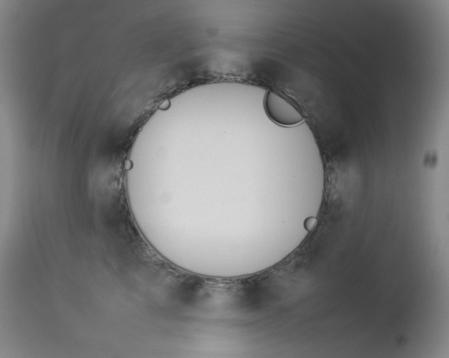 X0000112850713200909041529