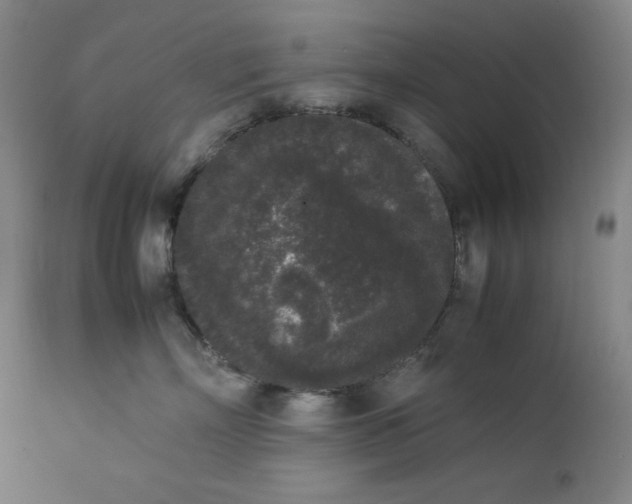 X0000112850718200909041529