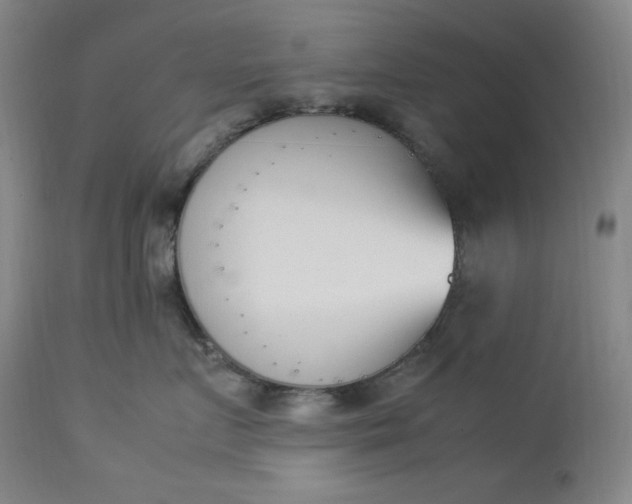 X0000112850719200909041529