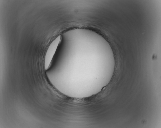 X0000112850720200909041529