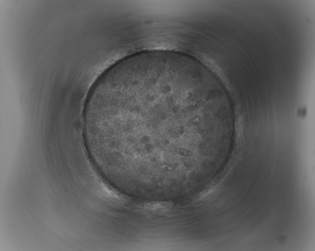 X0000112850721200909041529