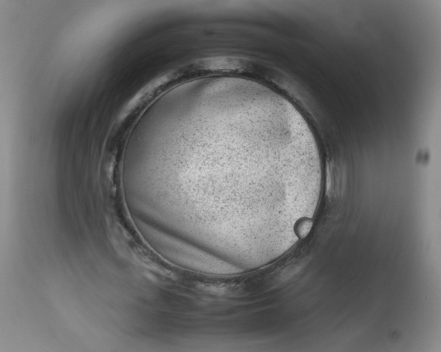 X0000112850723200909041529