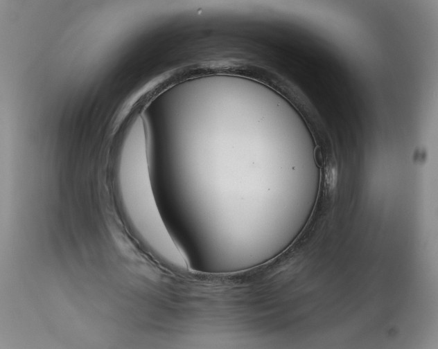 X0000112850724200909041529