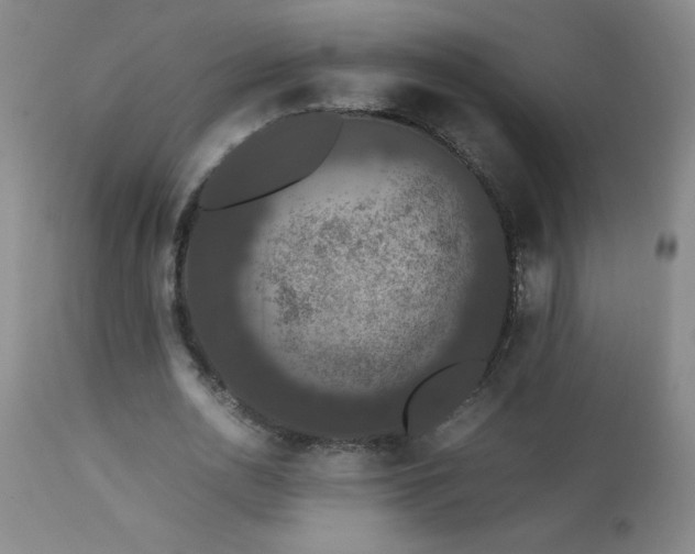 X0000112850726200909041529