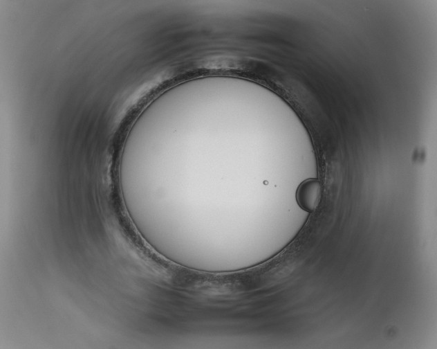 X0000112850727200909041529