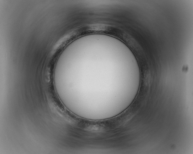 X0000112850731200909041529