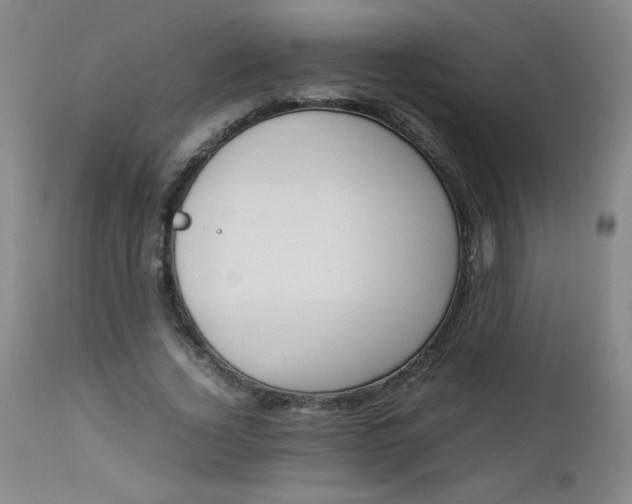 X0000112850732200909041529