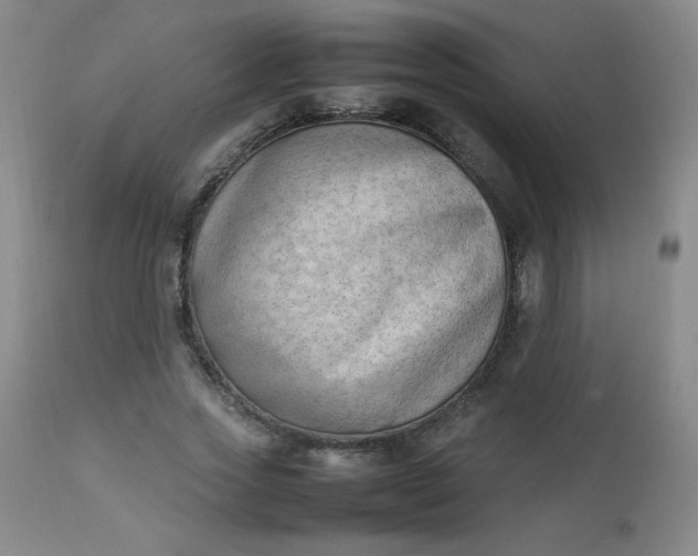 X0000112850733200909041529