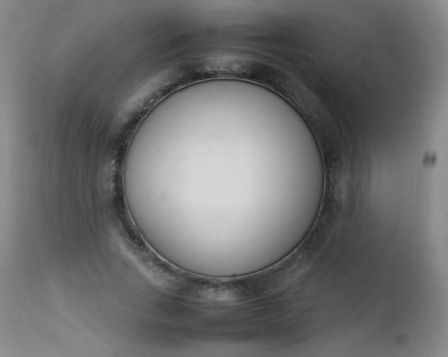 X0000112850735200909041529