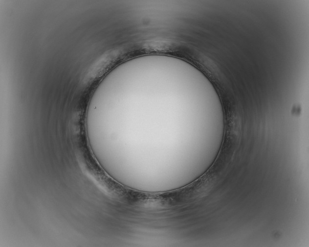 X0000112850738200909041529