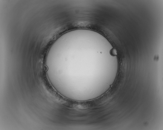 X0000112850739200909041529