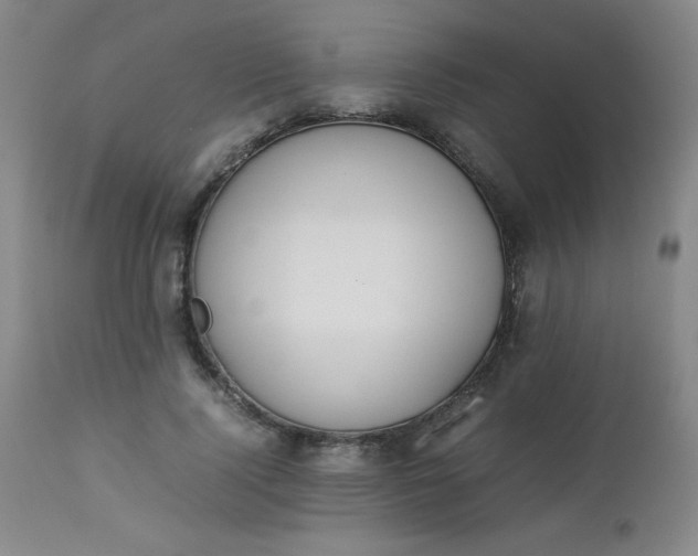 X0000112850740200909041529