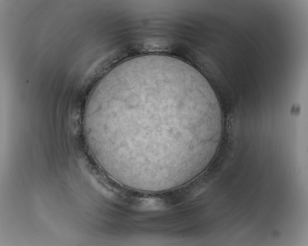 X0000112850741200909041529