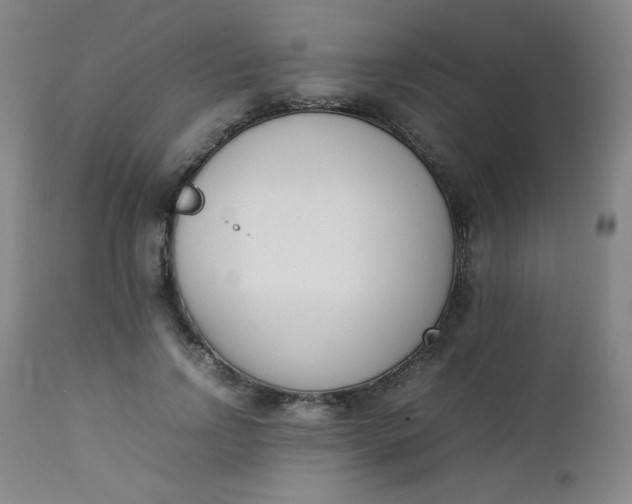 X0000112850742200909041529