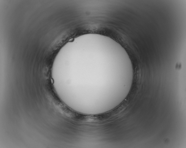 X0000112850750200909041529