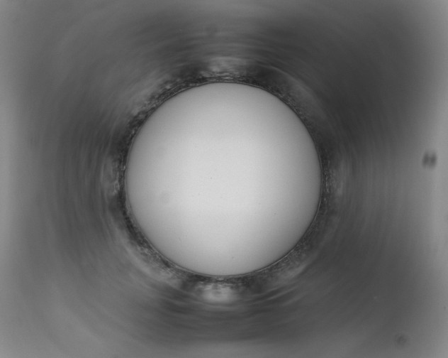 X0000112850751200909041529