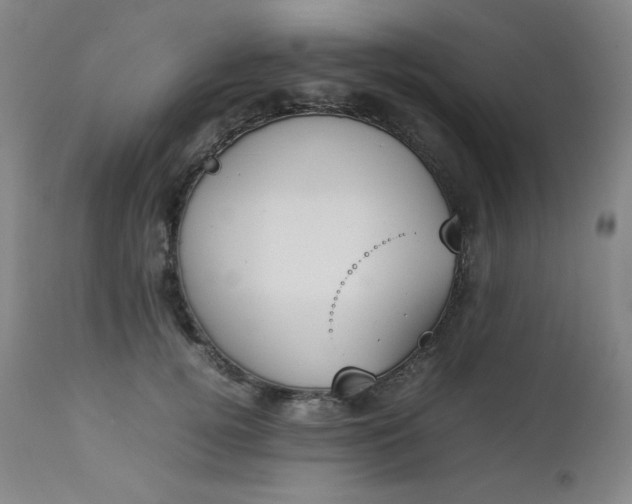 X0000112850752200909041529