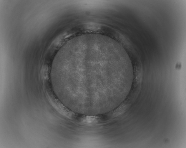 X0000112850758200909041529