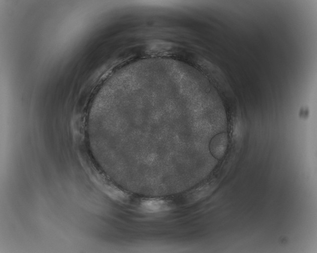 X0000112850759200909041529