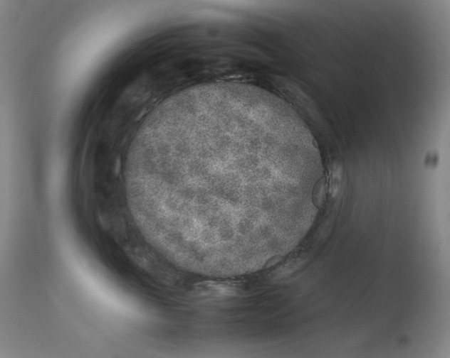 X0000112850763200909041529