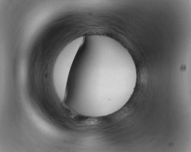 X0000112850764200909041529