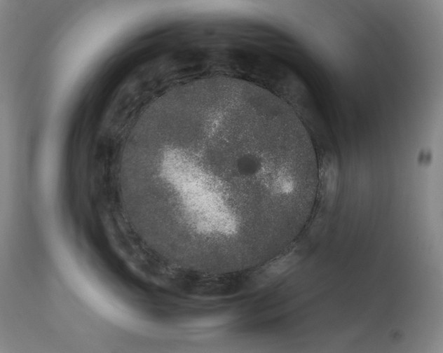 X0000112850765200909041529