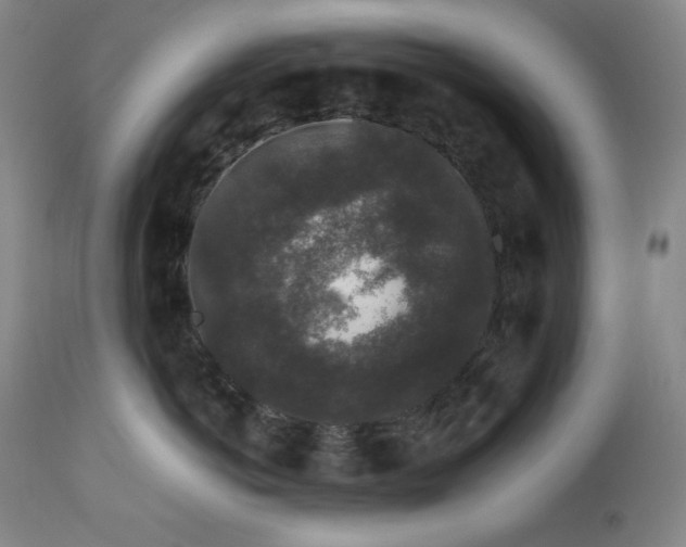 X0000112850766200909041529