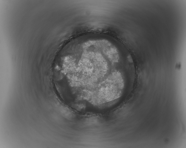 X0000112850769200909041529