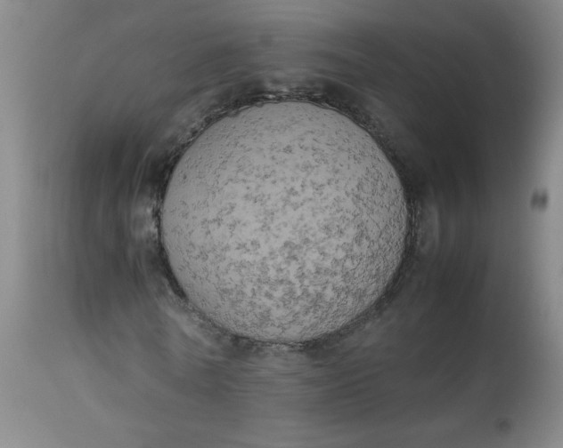 X0000112850770200909041529