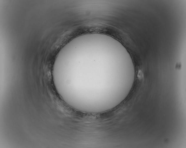 X0000112850771200909041529