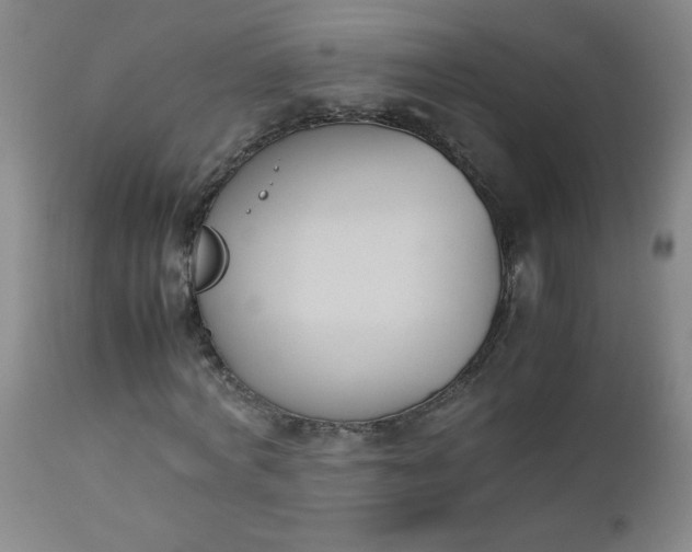 X0000112850772200909041529