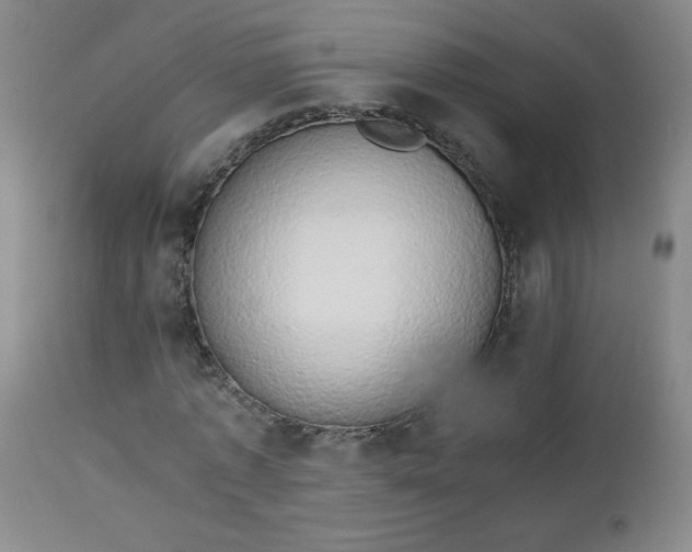 X0000112850773200909041529