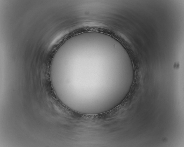 X0000112850775200909041529