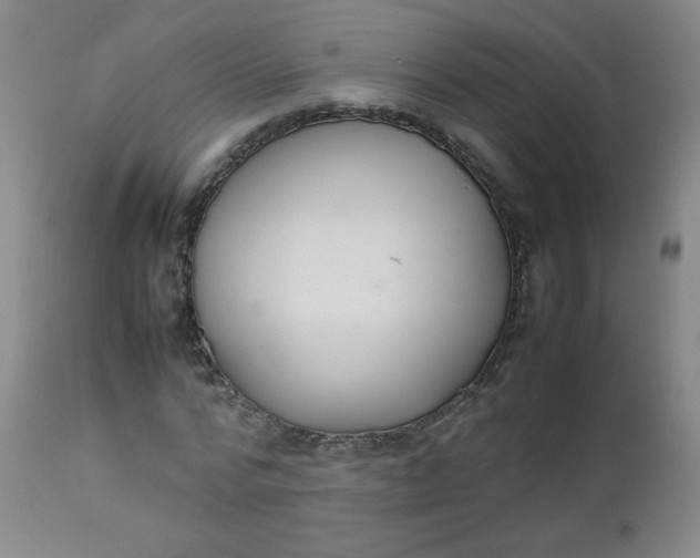 X0000112850776200909041529