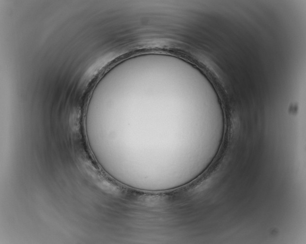 X0000112850778200909041528