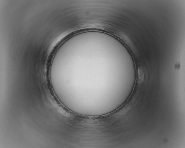 X0000112850780200909041528