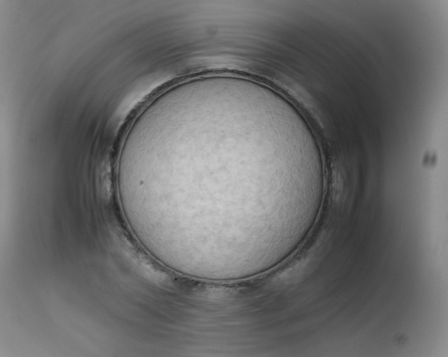 X0000112850782200909041528