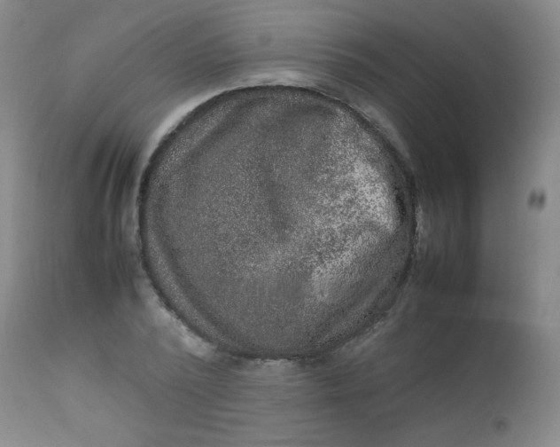 X0000112850784200909041528