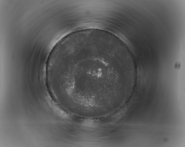 X0000112850790200909041528