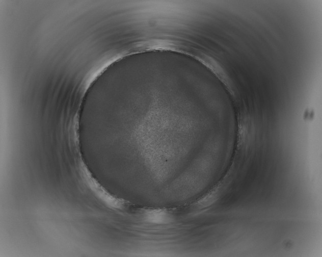 X0000112850798200909041528