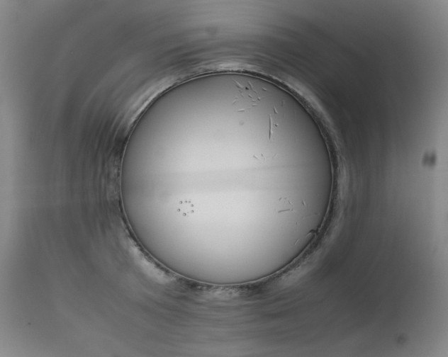 X0000112850801200909041528