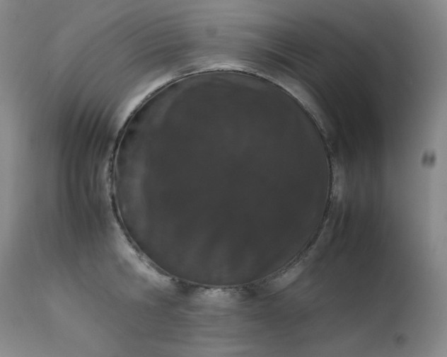 X0000112850806200909041528