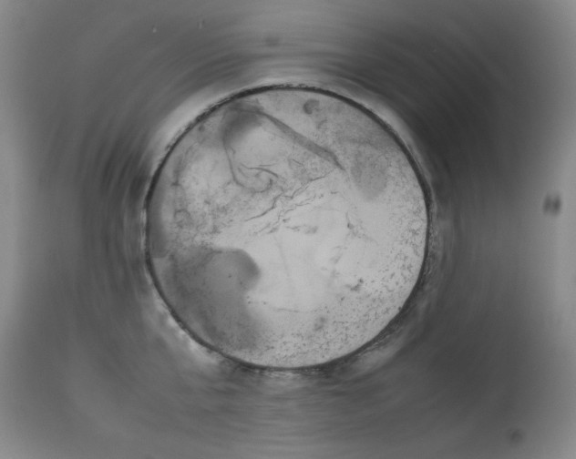 X0000112850807200909041528