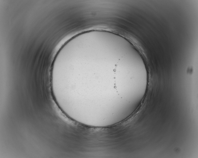 X0000112850808200909041528