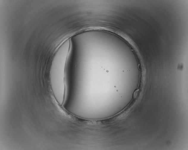 X0000112850809200909041528