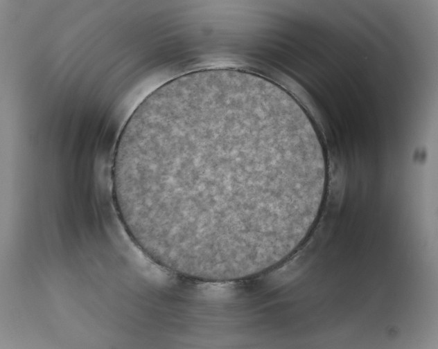 X0000112850810200909041528