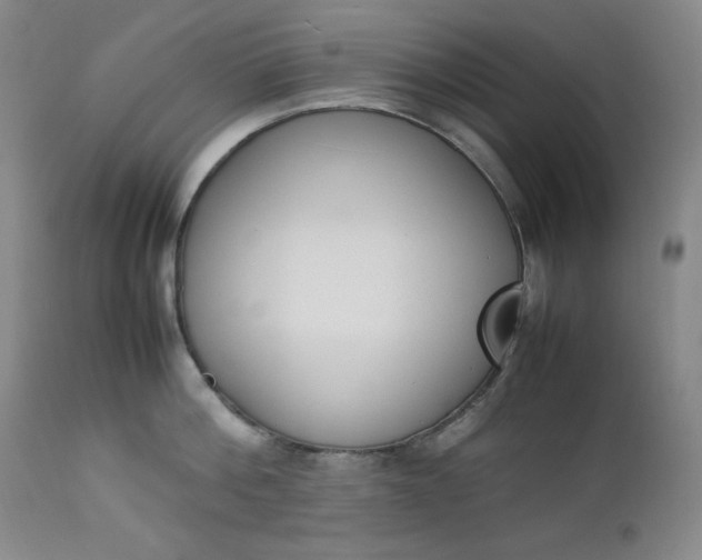 X0000112850812200909041528