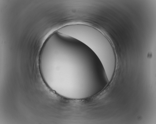 X0000112850813200909041528