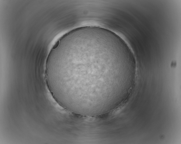 X0000112850815200909041528