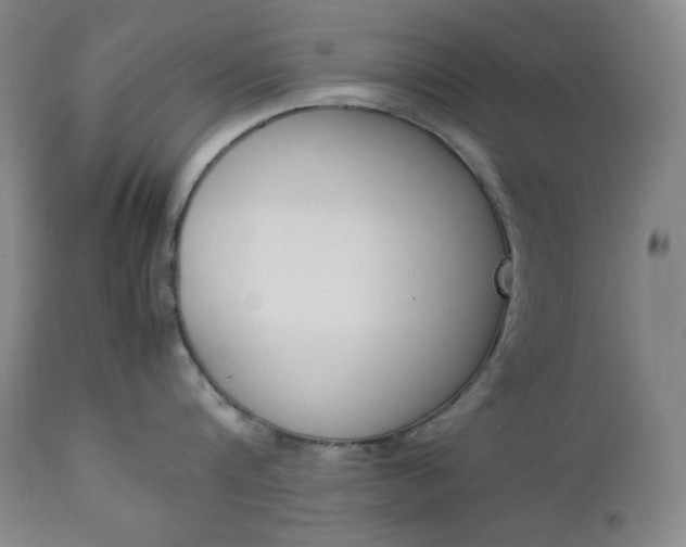 X0000112850816200909041528